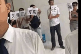 邵东债务清欠服务